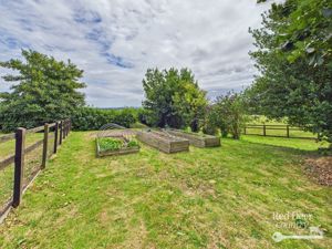 Veg Garden- click for photo gallery